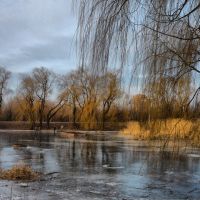 "пруд" в парке юбилейном, Краматорск