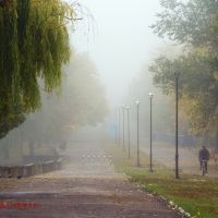 The Fog. Jubilee Park. Kramatorsk. Туман. Парк Юбилейный. Краматорск, Краматорск