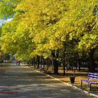 Autumn. Jubilee Park. Kramatorsk. Осень. Парк Юбилейный. Краматорск, Краматорск