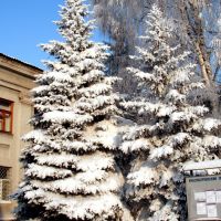 Институт зимой (01.2009), Красноармейск