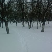 Зима в Новоазовске (возле военкомата), Новоазовск