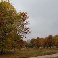 Autumn, Першотравневое