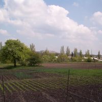 Огороды, Селидово