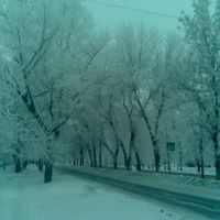 Зимний парк, Старобешево