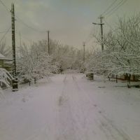 Садовый снежной зимой, Харцызск