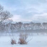 р. Случ, Зима туман (Panorama), Барановка