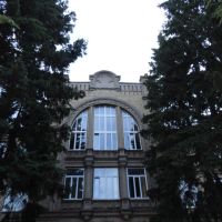 Медичний коледж - Medical College, Бердичев