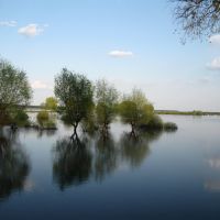 Брезне: річка "Случ", Броницкая Гута