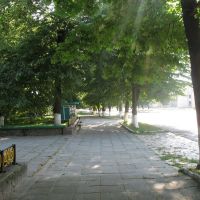 Алейка возле парка, Емильчино