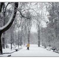 снегопад, Житомир