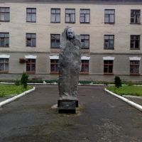 Памятник у больницы, Коростышев
