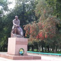 Monument of The Famous Ukrainian Poet Shevchenko, Лугины