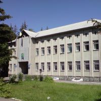 Town Council, Лугины