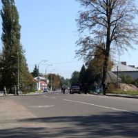 Street, Лугины