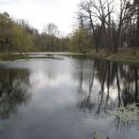 Pond, Малин