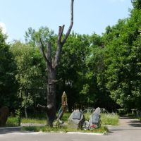 Сухое дерево - символ трагедии на ЧАЭС, Народичи