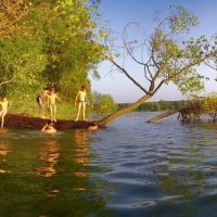 Панорама (дерево в озере) с 5-ти фото с 5-ти фото, Ружин