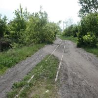 Remains of Narrow Gage Railway, Берегово