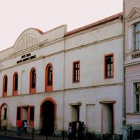 Illyes Gyula Hungarian State Theatre - Illyés Gyula Állami Magyar Nemzeti Színház, Берегово