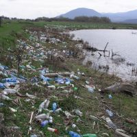 Plastic trash everywhere in the floodplain of the Tisa River, Буштына