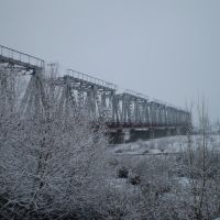 Зима, Буштына
