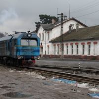Narrow gauge locomotive, Виноградов