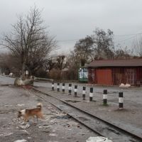 Narrow gauge railway, Виноградов
