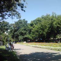 Nagyszőllős, park, Виноградов