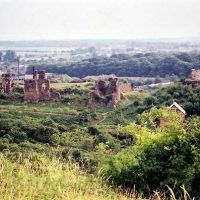 Ruiny  ZAMKA, Виноградов
