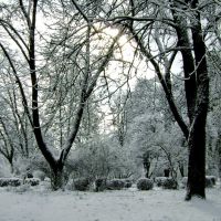 Зимовий Парк, Иршава