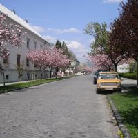 Tavaszi napsütés / Sunshine in The Spring, Мукачево