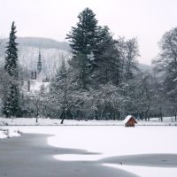 Winter lake of Shenborn castle, Мукачево