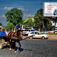 Horse carriage - Kárpátalja, Munkács DSC_8803-1, Мукачево