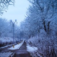 сніжок в парку, Тячев