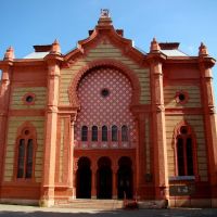 Закарпатська областна філармонія, колишня синагога, ex-Synagogue, Ужгород