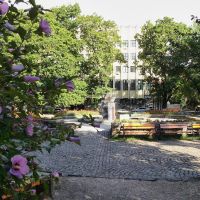Сквер  /  Public garden, Ужгород
