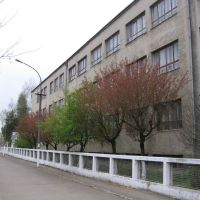 Ukrainian School, Чоп