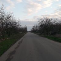 долгая дорога по улице революции, Акимовка