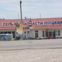 Магазин запчастей, Васильевка