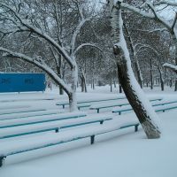 Парк зимой, Веселое