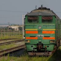 Diesel locomotive 2TE116-1516 on Kamysh-Zarya train station, Камыш-Заря