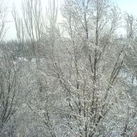 Зима в Мелитополе, Мелитополь