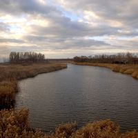 Tersa(река Терса), Новониколаевка