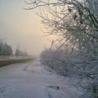 Beautiful but cold winter, Брошнев-Осада