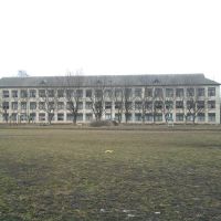 School bad School, Бурштын