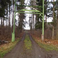 лісові ворота .., Бытков