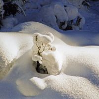 Музыка под снегом... Music under the Snow..., Ворохта