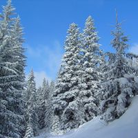 Winter in Vorohta2 (Зима в Ворохті), Ворохта