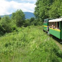 Carpathian Tram, Выгода