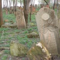 старое еврейское кладбище, Городенка